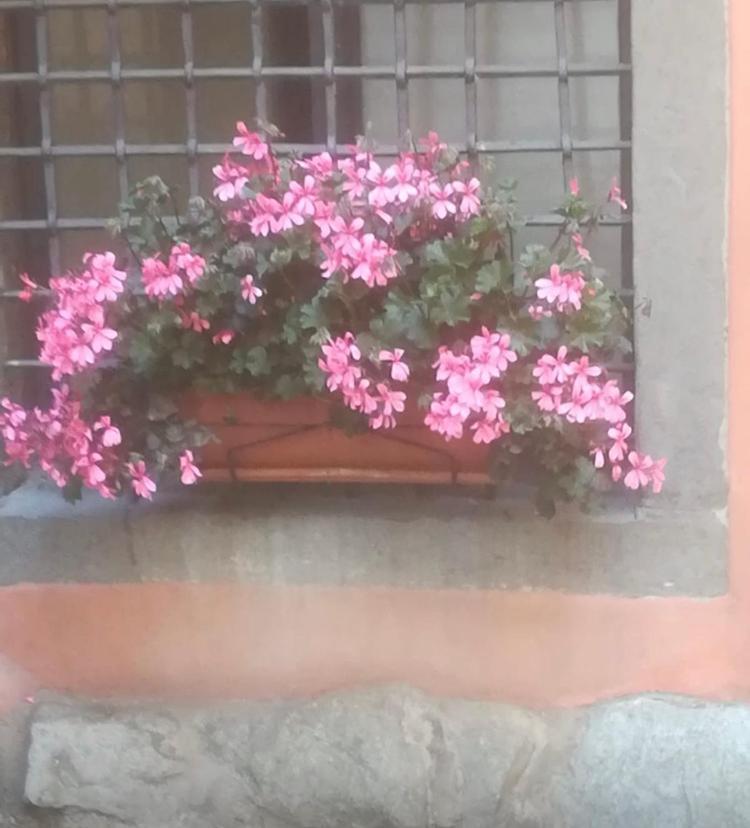 Ferienwohnung Casa Mirella Lovere Exterior foto